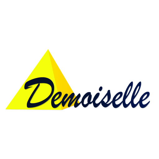 Logo Demoiselle Oléron FM