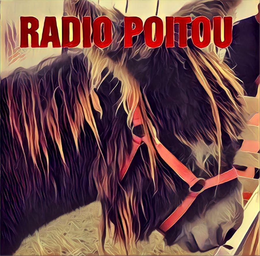 Logo RADIO POITOU